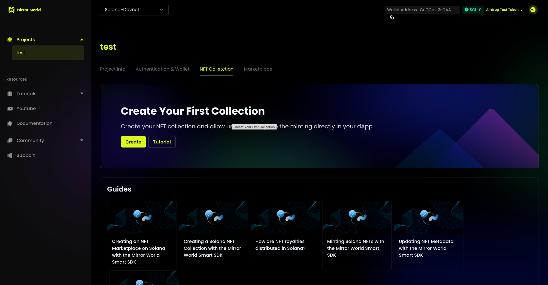 NFT Collection